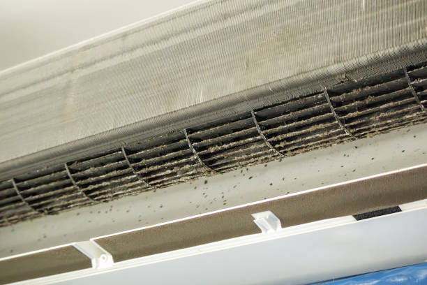 Best Commercial Air Duct Cleaning  in Kaunakakai, HI